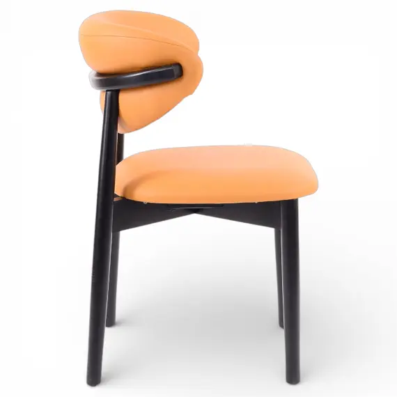 Chair Joy Chair Joy