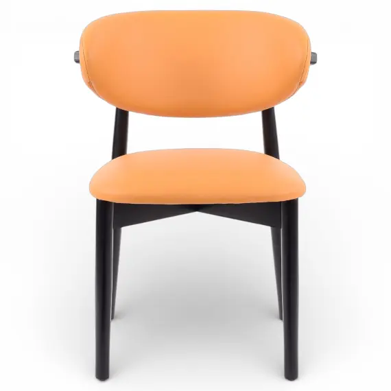 Chair Joy Chair Joy