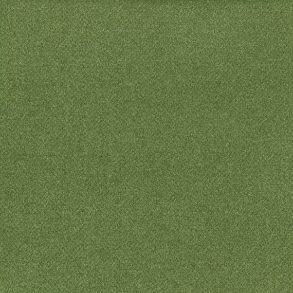 Moss